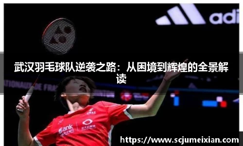 武汉羽毛球队逆袭之路：从困境到辉煌的全景解读